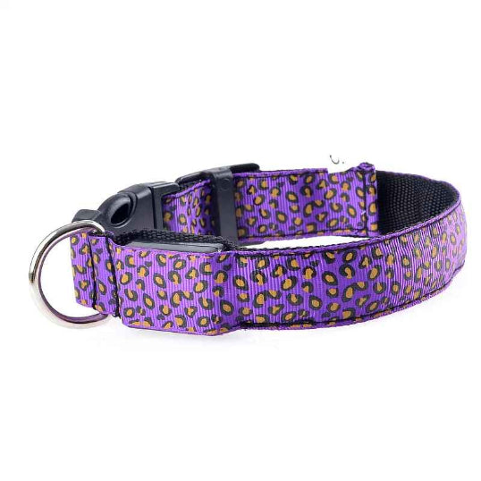 Collier lumineux pour chien leopard violiet