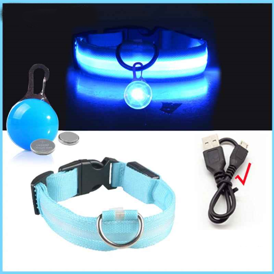 Collier lumineux pour chien usb endentif bleu