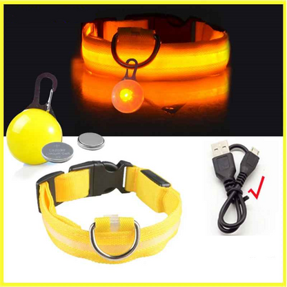 Collier lumineux pour chien usb pendentif jaune