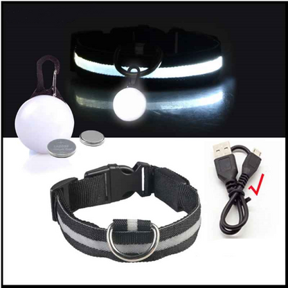Collier lumineux pour chien usb pendentif noir