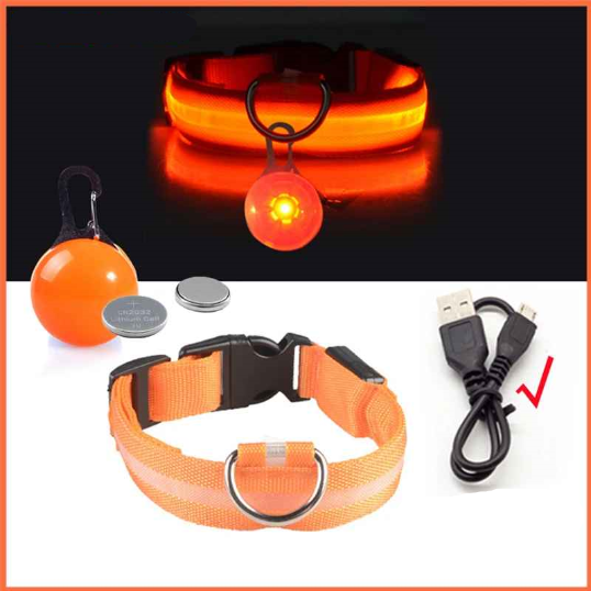 Collier lumineux pour chien usb pendentif orange