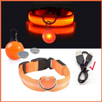 Collier lumineux pour chien usb pendentif orange