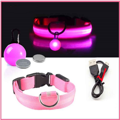 Collier lumineux pour chien usb pendentif rose