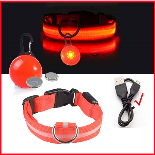 Collier lumineux pour chien usb pendentif rouge