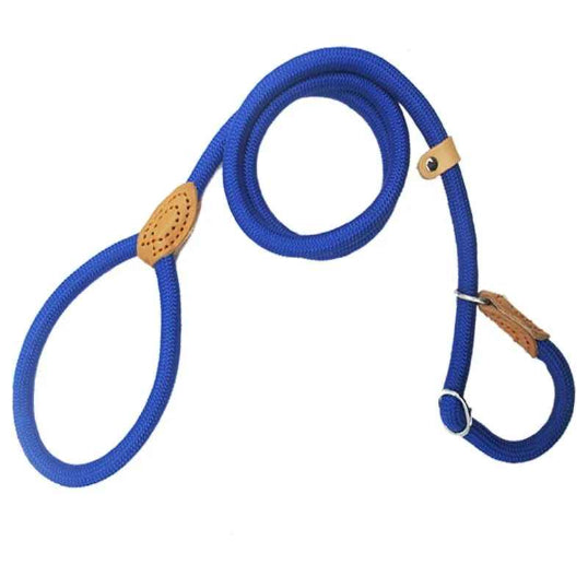 Laisse chien Bouclereg bleu