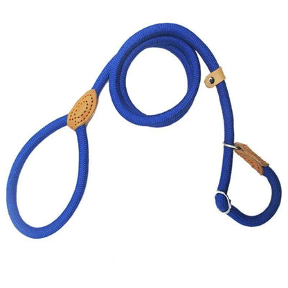 Laisse chien Bouclereg bleu