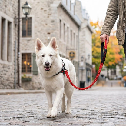 Laisse  pour chien refebsob rouge BBS