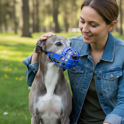 Museliere pour chien plastique reglable levrier assis bleu