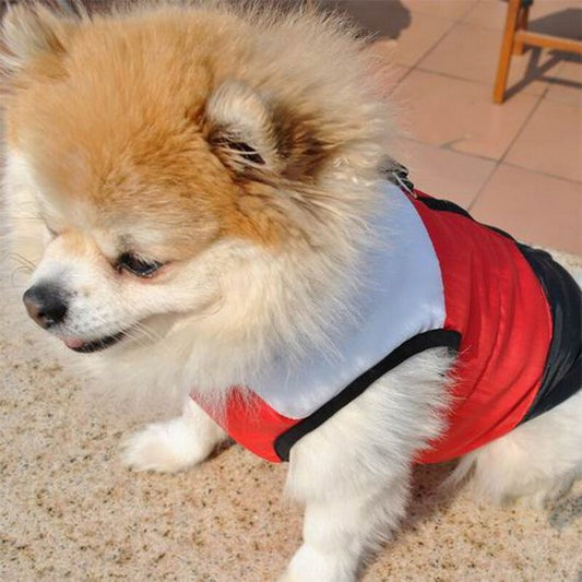 Chien manteau hivpc rouge