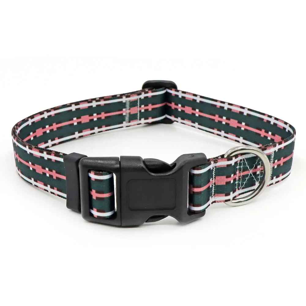 collier-chien-bande
