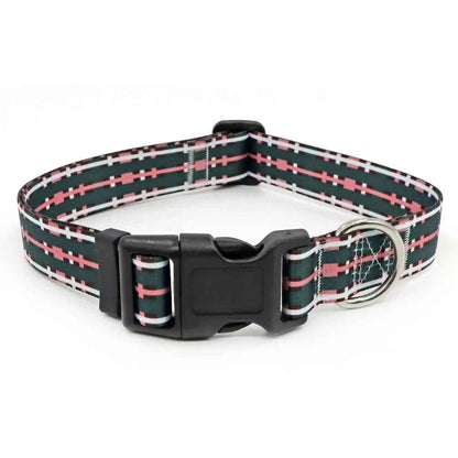 collier-chien-bande