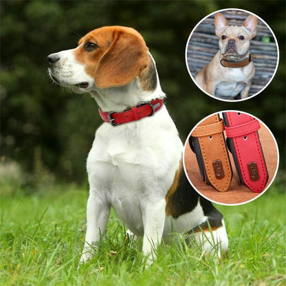 Collier chien cuir qualité supérieur champs + couleur
