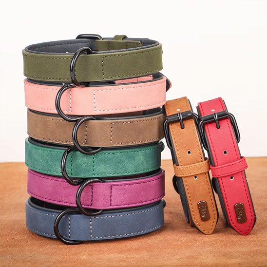Collier chien cuir qualité supérieur plusieurs couleur