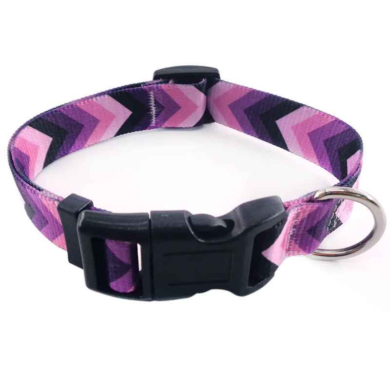 collier-chien-fleche