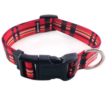 collier-chien-grille