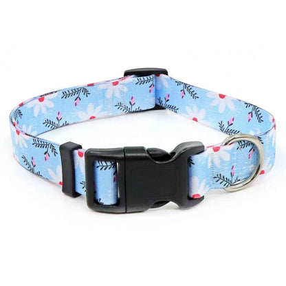 collier-chien-marguerite
