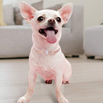 Collier chien nœud brillant chihuahua blanc