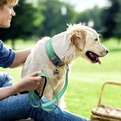 Collier chien Nylonnéo maître regard parc