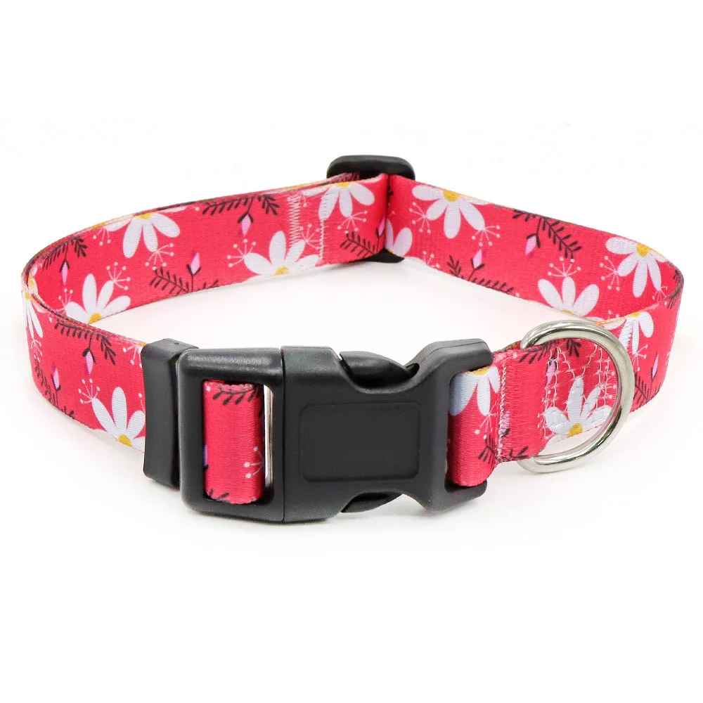 collier-chien-rouge