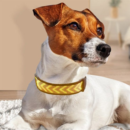 Collier lumineux chien LED affichage Jack Russel vert