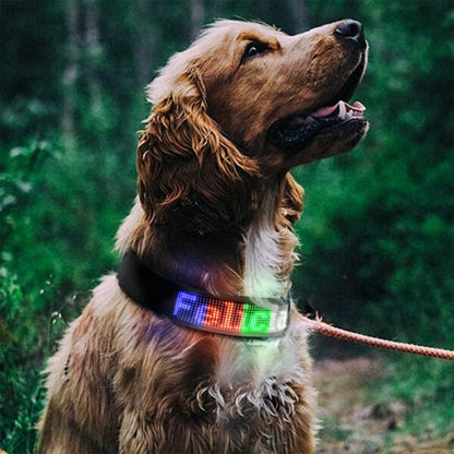 Collier lumineux chien LED affichage regarde ciel RBG 
