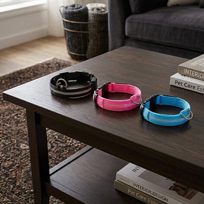 Collier lumineux Chien trois couleurs