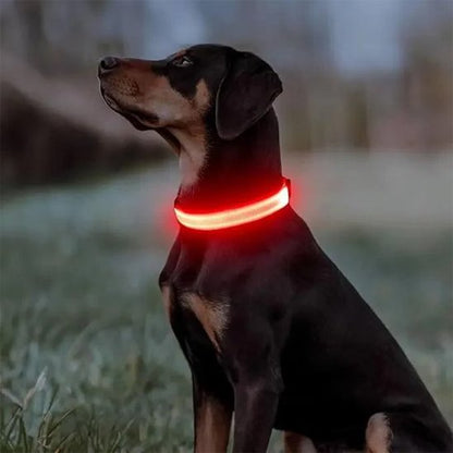 Collier lumineux pour chien champs rouge