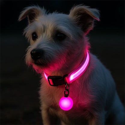 Collier lumineux pour chien fox terrier rose