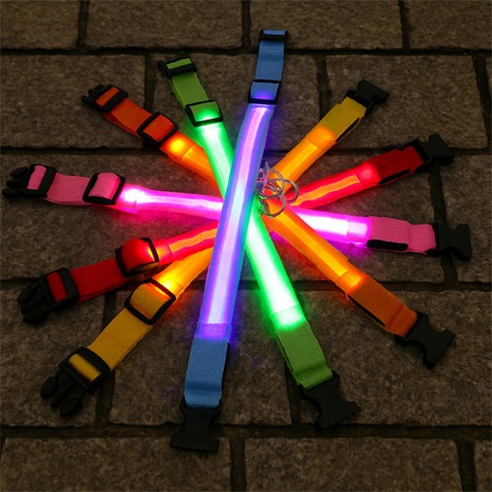 Collier lumineux pour chien plusieurs couleurs