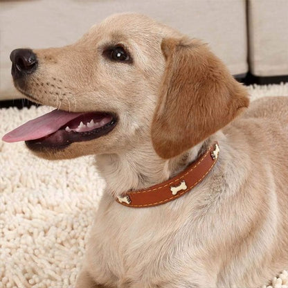 Collier pour chien cuir os chocolat