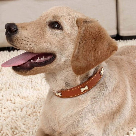 Collier pour chien cuir os chocolat