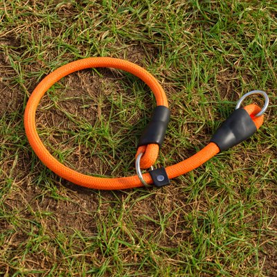 Collier pour chien réglable orange herbe