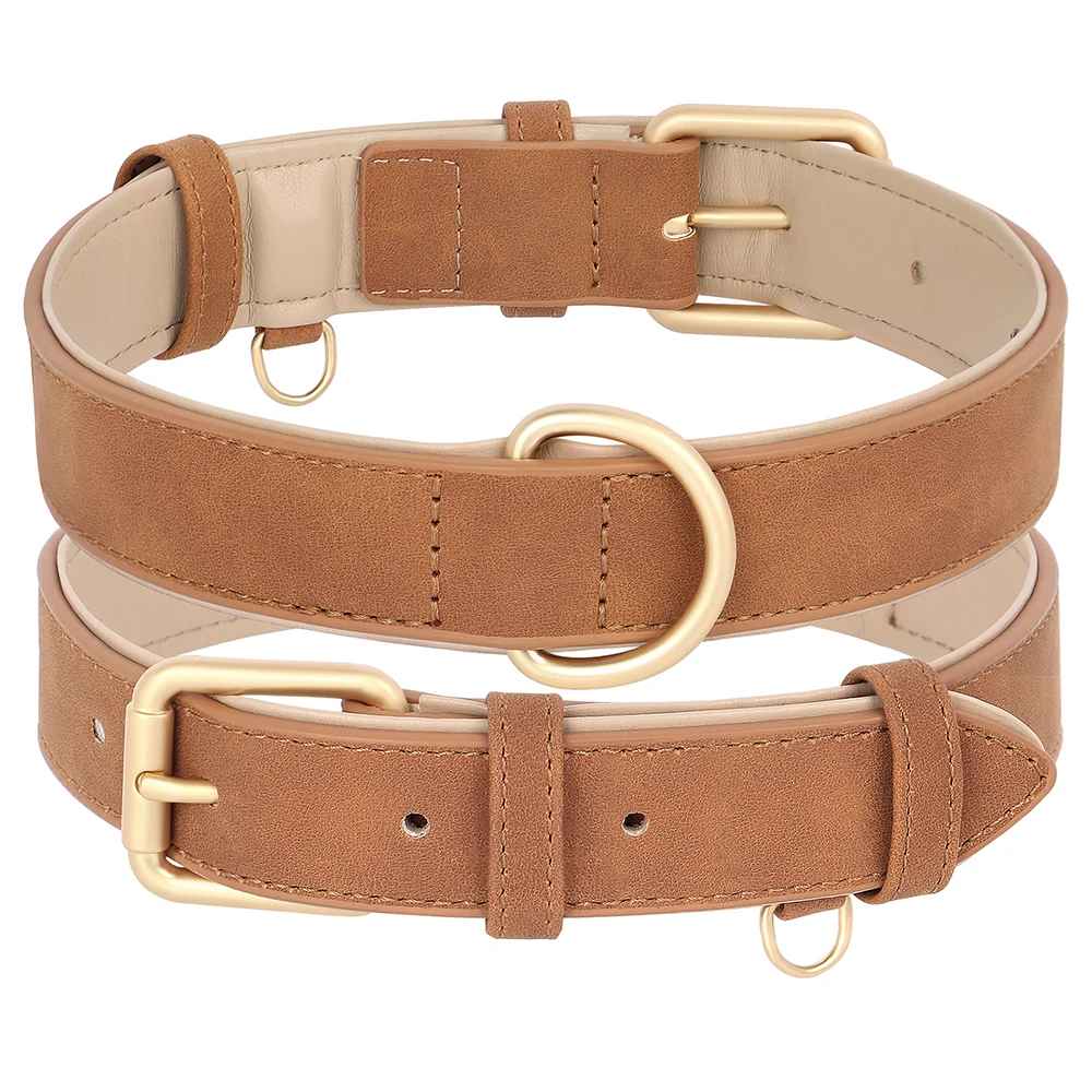 Collier chien | Cuir véritable