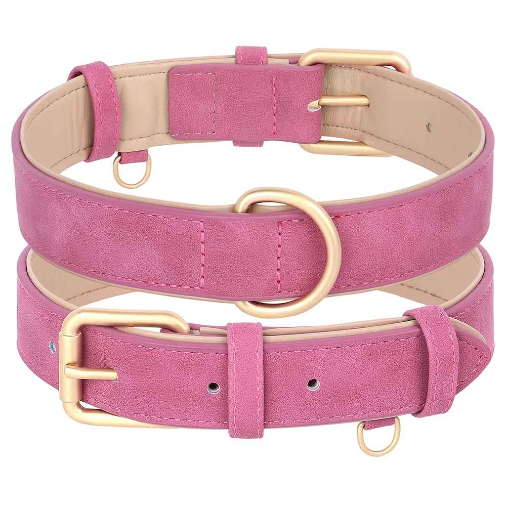 Collier chien | Cuir véritable