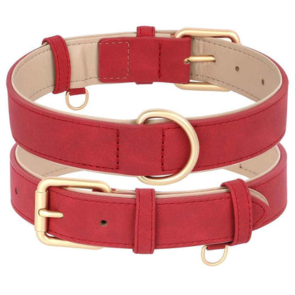 Collier chien | Cuir véritable