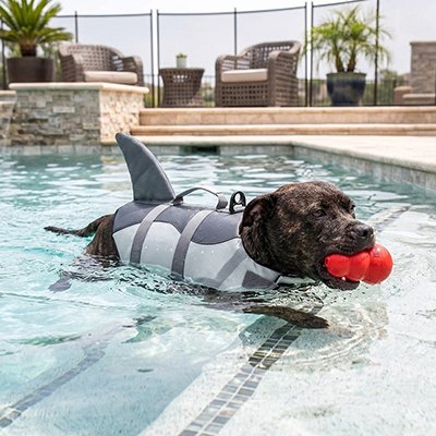 Gilet de sauvetage Chien requin labrador