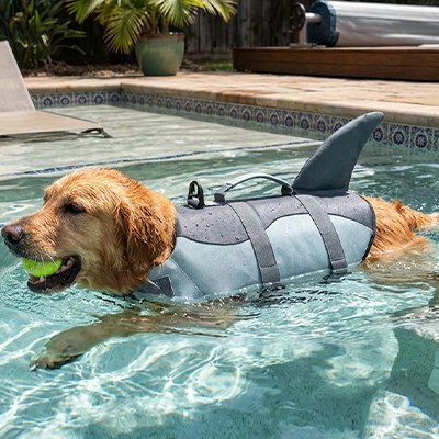 Gilet de sauvetage Chien requin nage
