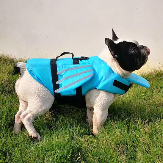 Gilet de sauvetage chiens Dragon bleu