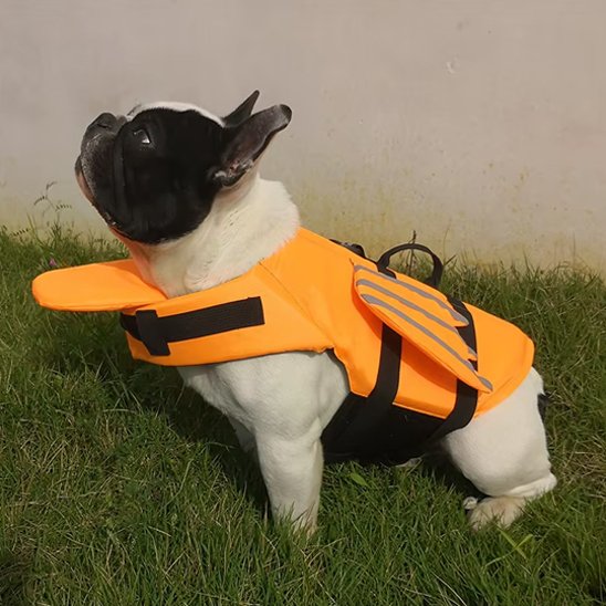 Gilet de sauvetage chiens Dragon orange