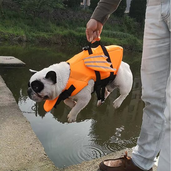 Gilet de sauvetage chiens Dragon pogné