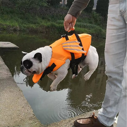 Gilet de sauvetage chiens Dragon pogné