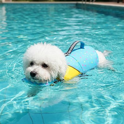 Gilet de sauvetage pour Chien Flotteur nage
