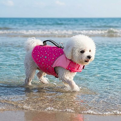 Gilet de sauvetage pour Chien Flotteur rose
