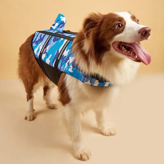 Gilet sauvetage chien Rcol bleu