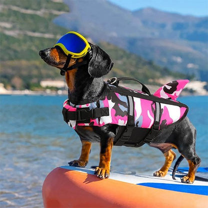 Gilet sauvetage chien Rcol lunette