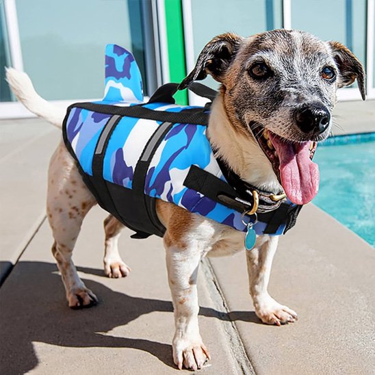 Gilet sauvetage chien Rcol piscine