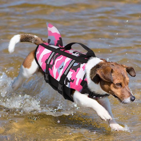 Gilet sauvetage chien Rcol rose