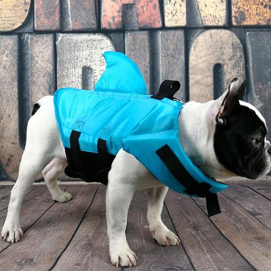 Gilet sauvetage chien RequinC bleu
