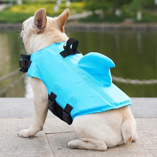 Gilet sauvetage chien RequinC dos