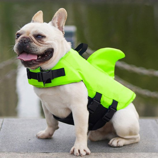 Gilet sauvetage chien RequinC vert